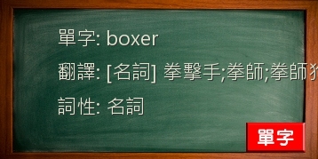 boxer