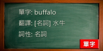 buffalo