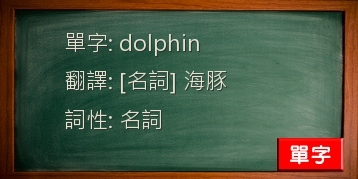 dolphin