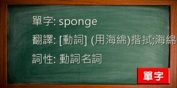 sponge